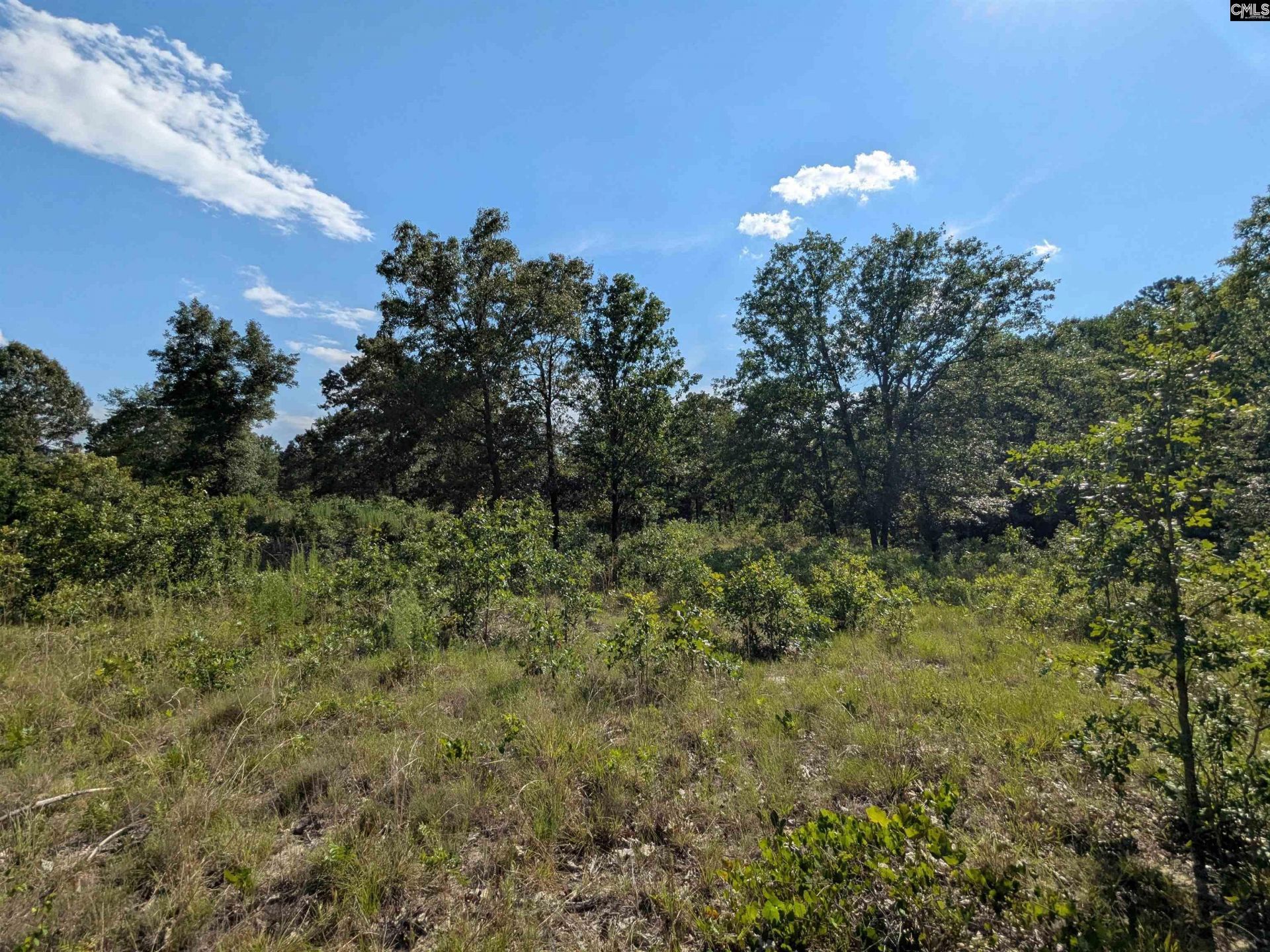 Hound Hollow Road Photo 19