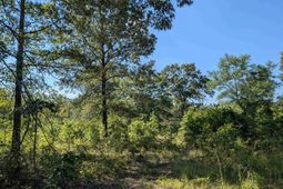 Hound Hollow Road photo 4
