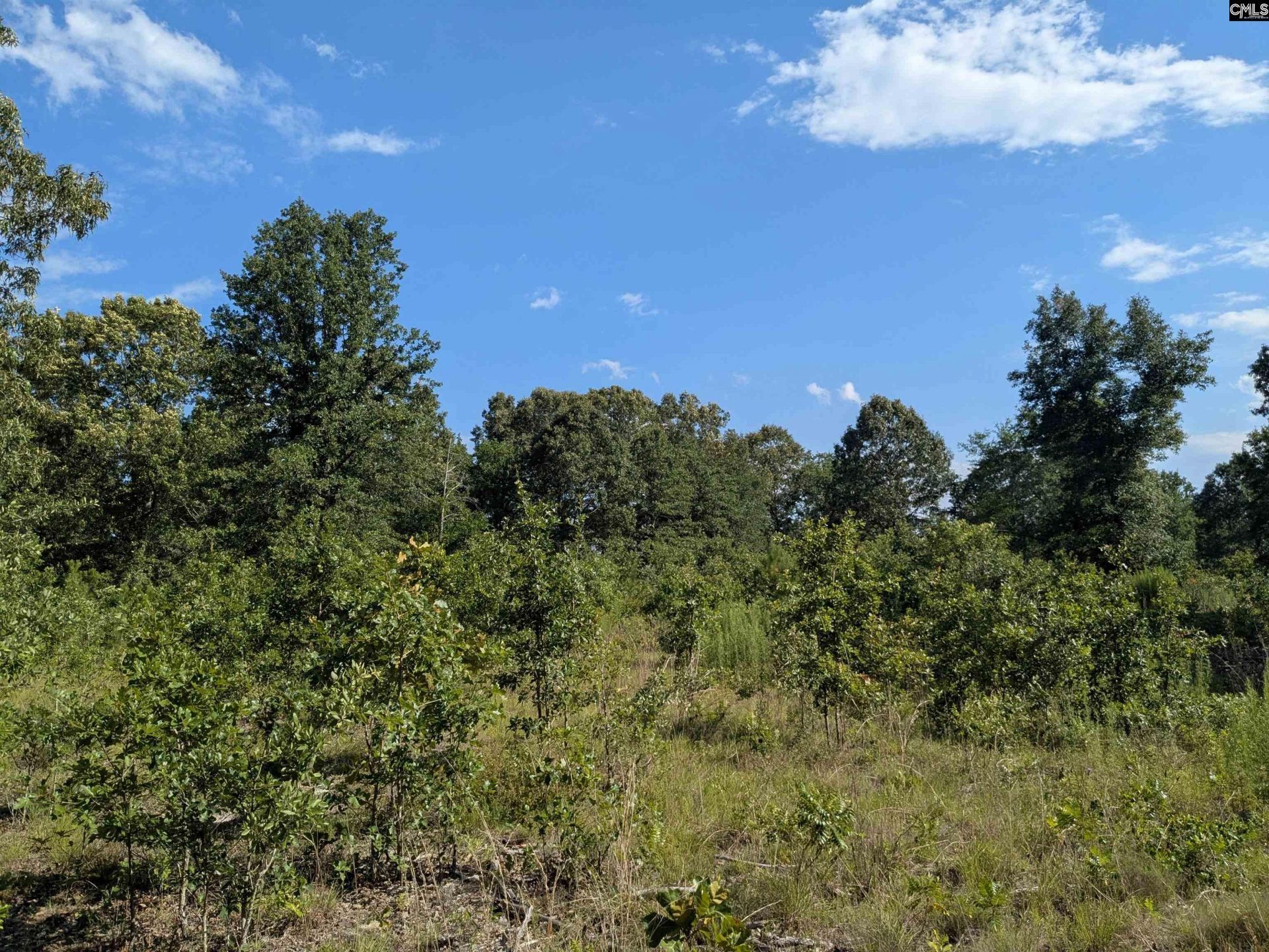 Hound Hollow Road Photo 20