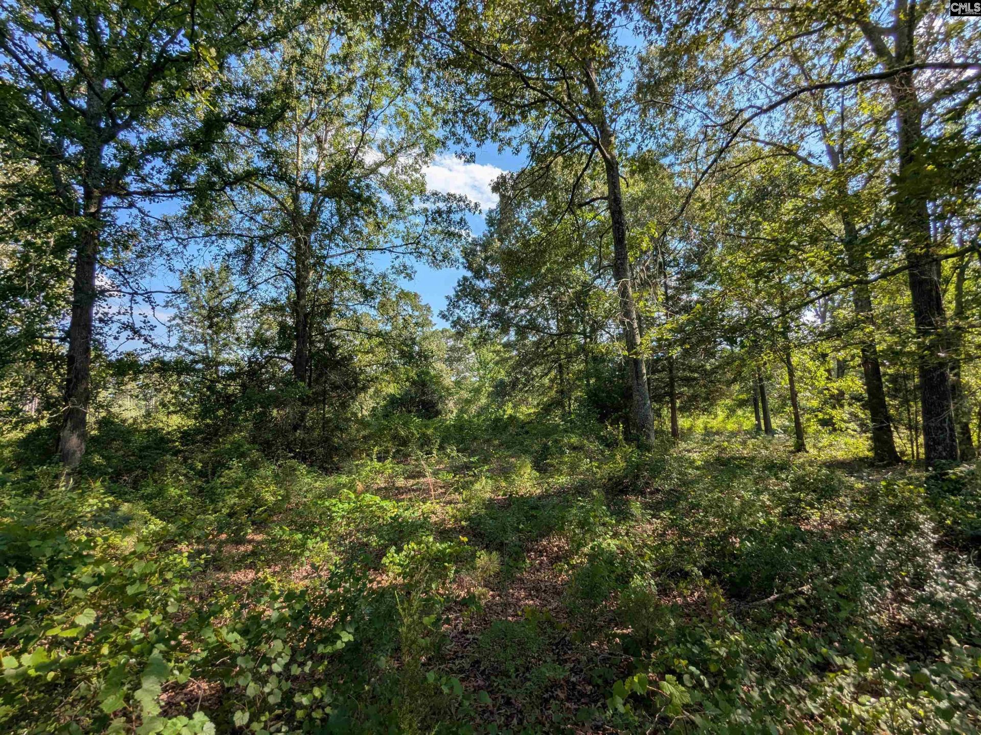 Hound Hollow Road Photo 21