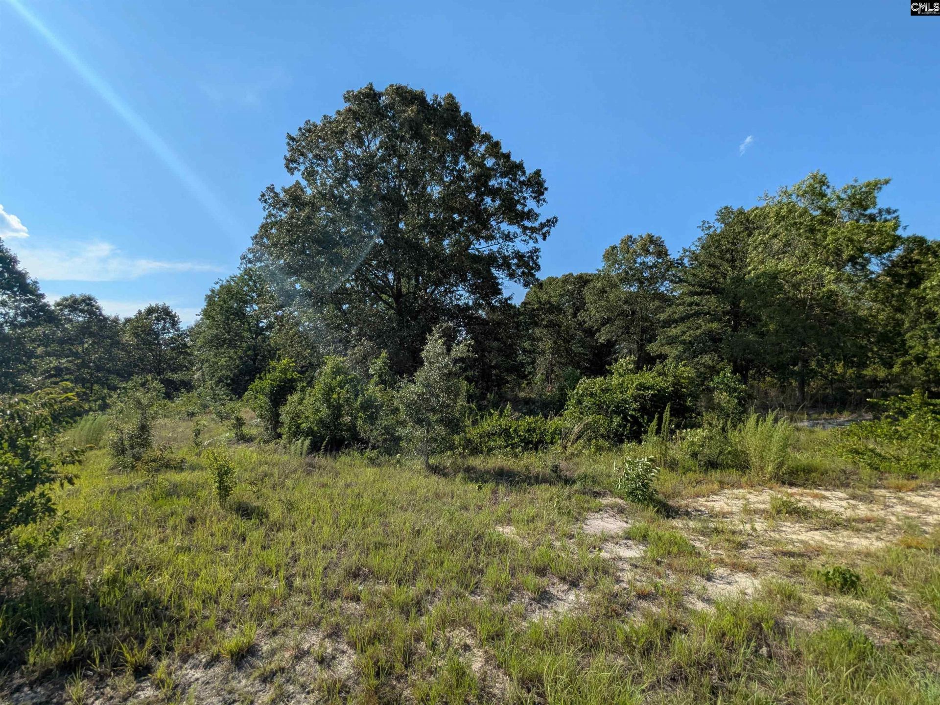 Hound Hollow Road Photo 22