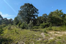 Hound Hollow Road photo 4