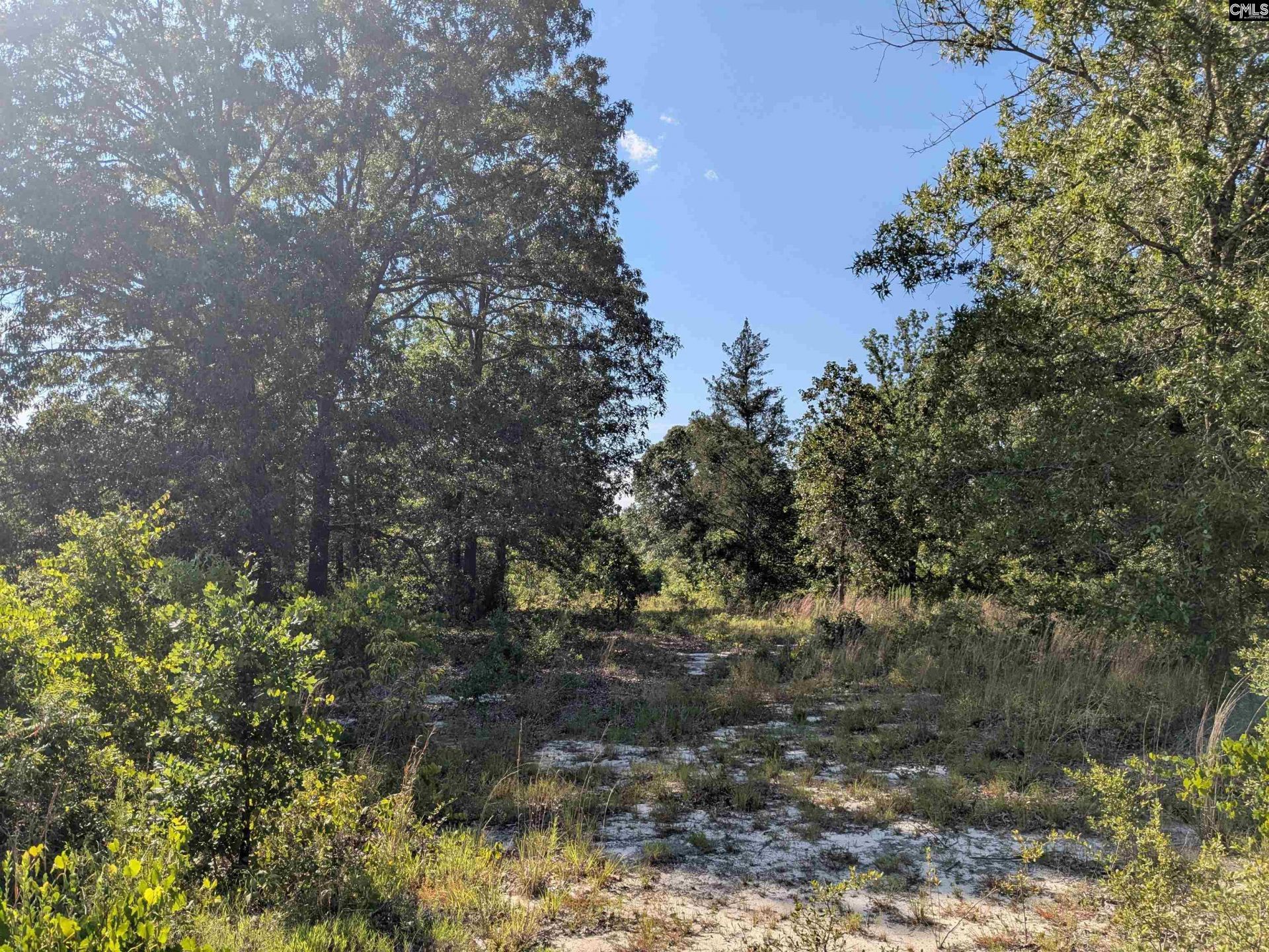 Hound Hollow Road Photo 4