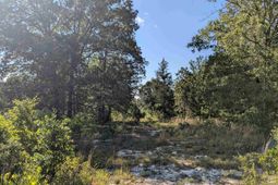 Hound Hollow Road photo 4