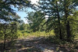 Hound Hollow Road  photo 4