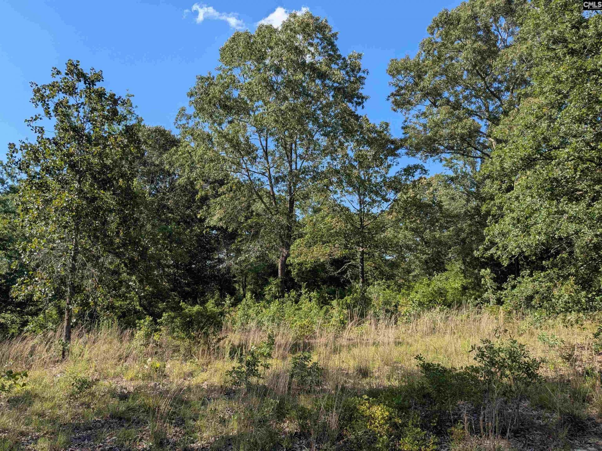 Hound Hollow Road Photo 5