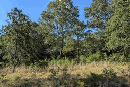 Hound Hollow Road photo 4