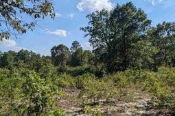Hound Hollow Road  photo 4