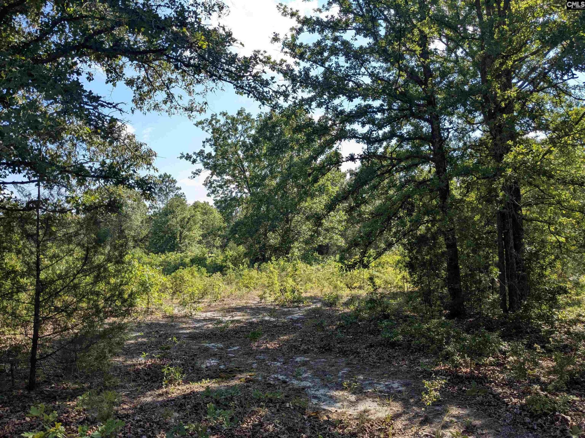 Hound Hollow Road Photo 6