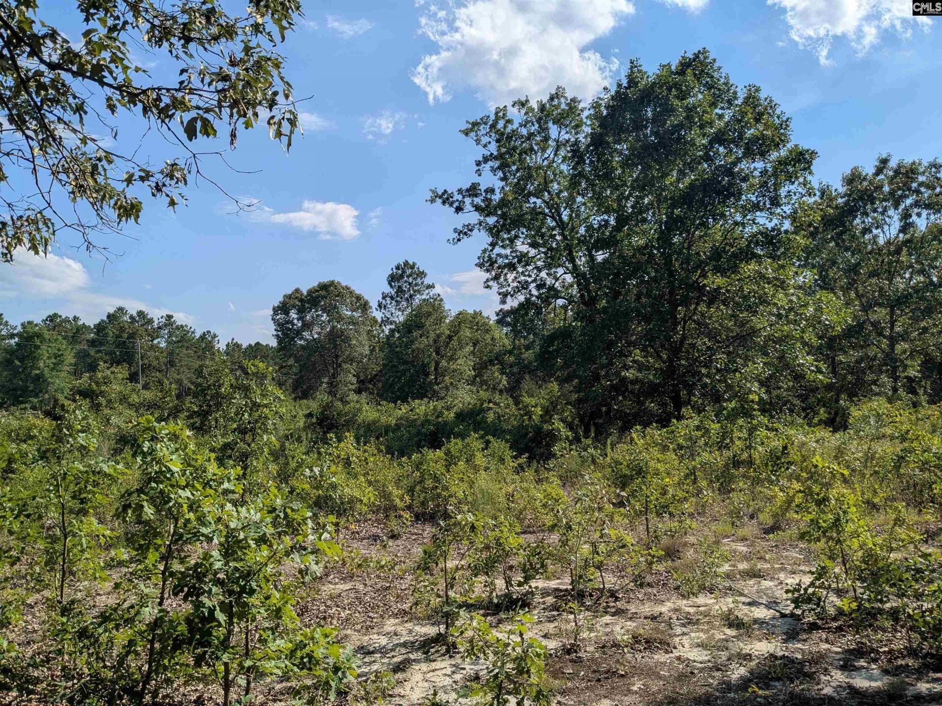 Hound Hollow Road Photo 7
