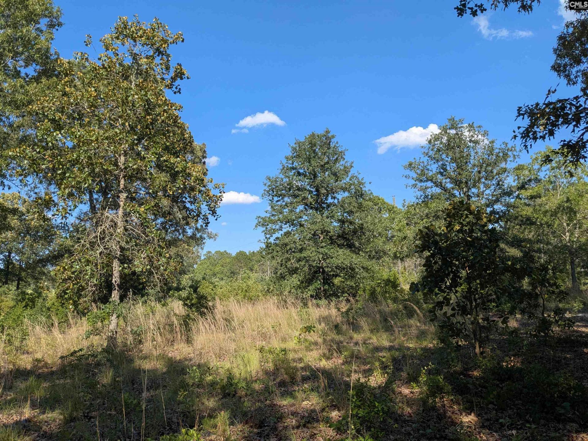 Hound Hollow Road Photo 8