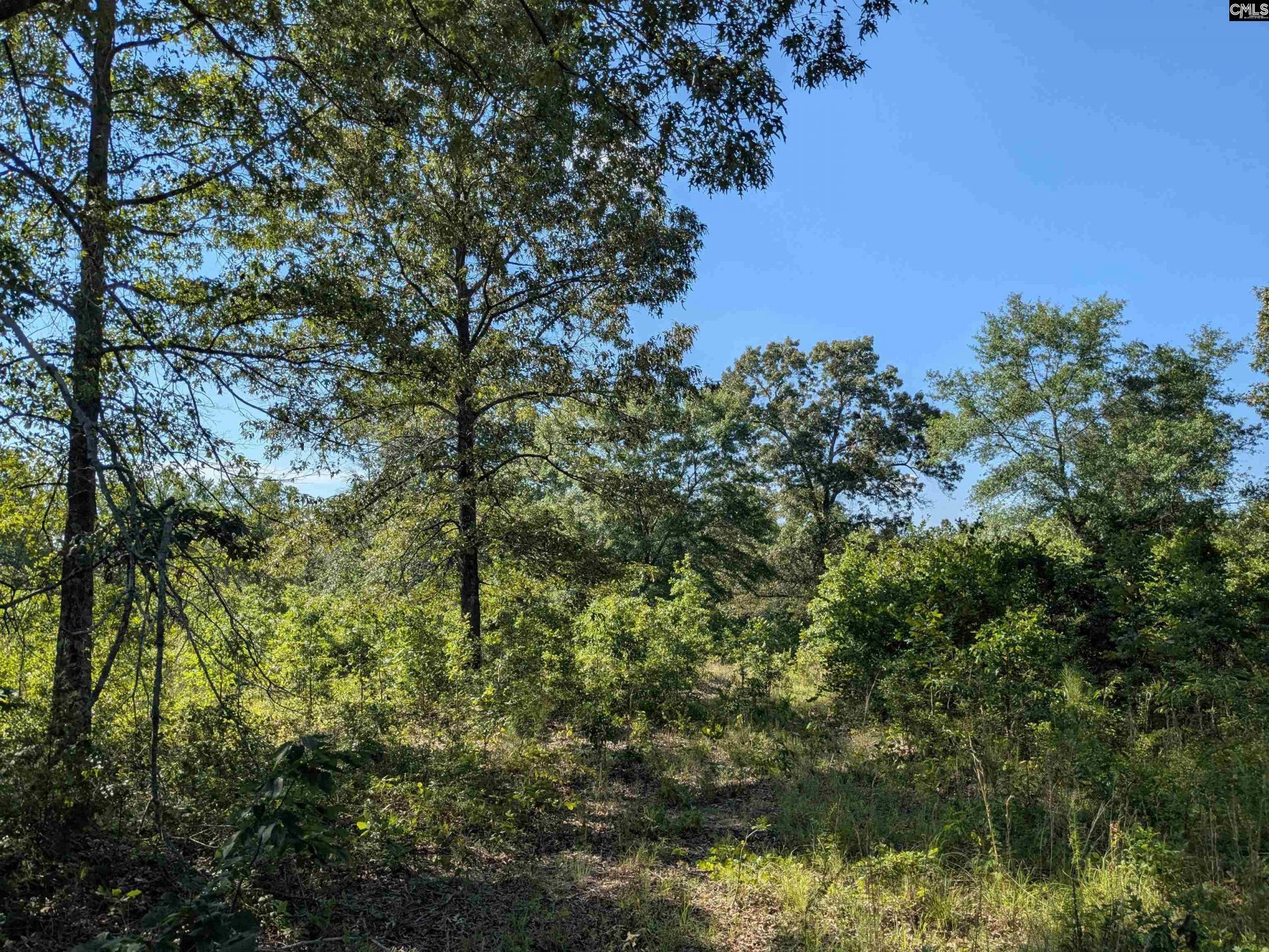 Hound Hollow Road  Photo 8