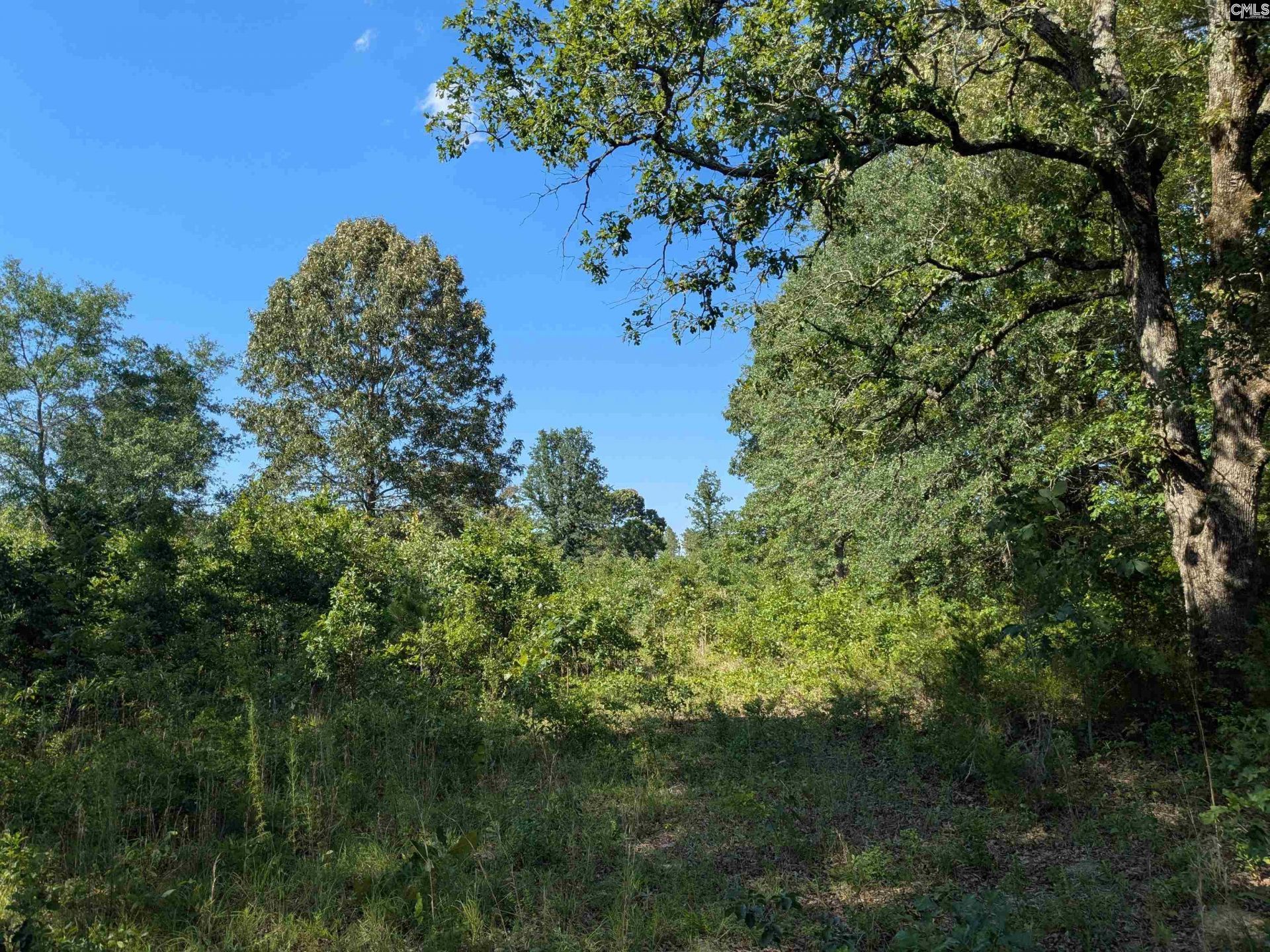 Hound Hollow Road Photo 9