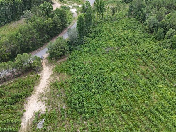 006 County Road 921, Gaylesville, AL 35973