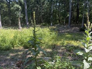 715 Washington St, Pembroke, MA 02359