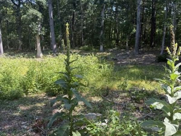 715 Washington St, Pembroke, MA 02359