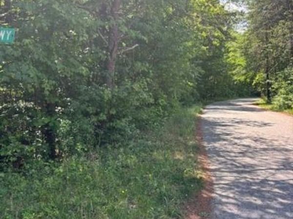 1702 Townsend Forest Lane , Browns Summit, NC 27214