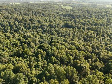 140+/- Ac off Eastlake Drive, Bedford, IN 47421