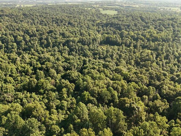 140+/- Ac off Eastlake Drive, Bedford, IN 47421