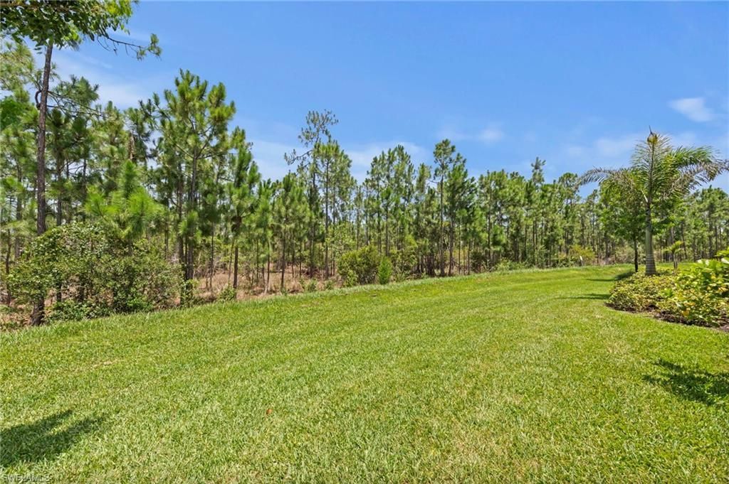 20615 Plumwood Loop, North Fort Myers, FL 33917 Photo