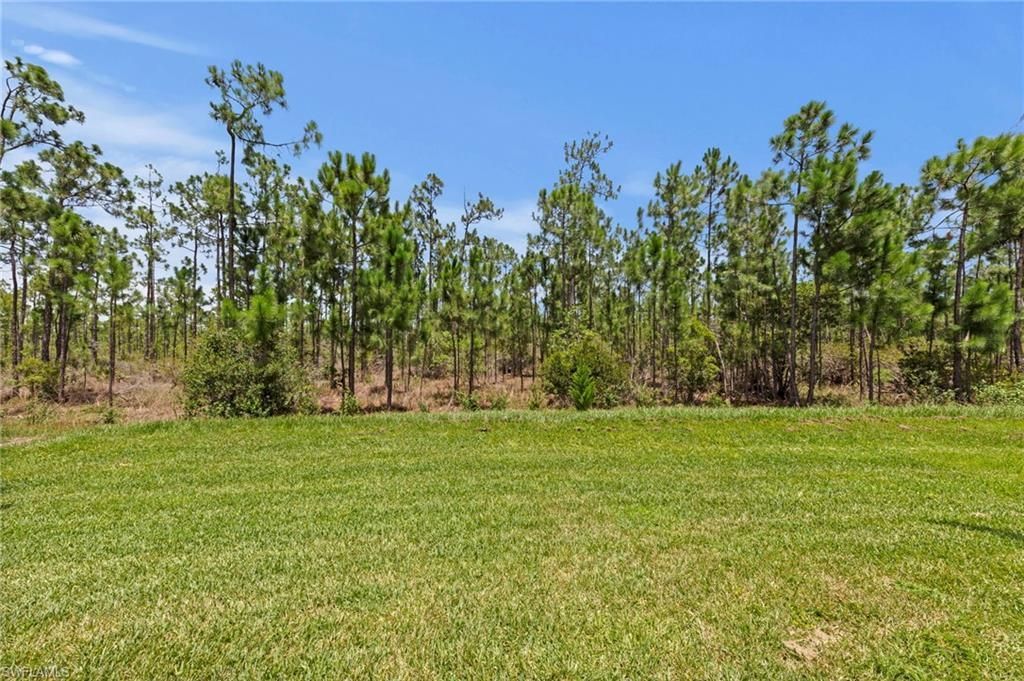 20615 Plumwood Loop, North Fort Myers, FL 33917 Photo