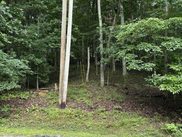 14 Lynhurst Circle, Crossville, TN 38558