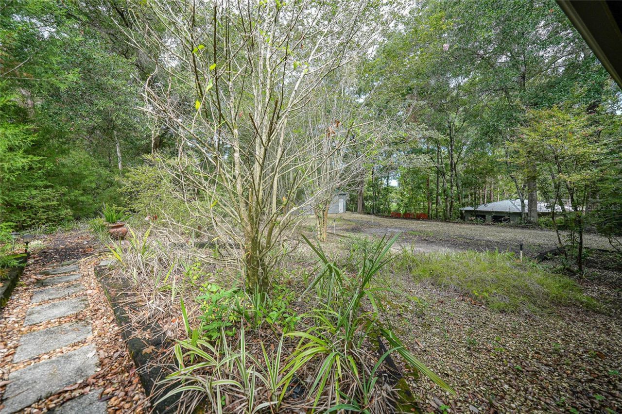 8199 W Pinoak Court , Homosassa, FL 34448 Photo