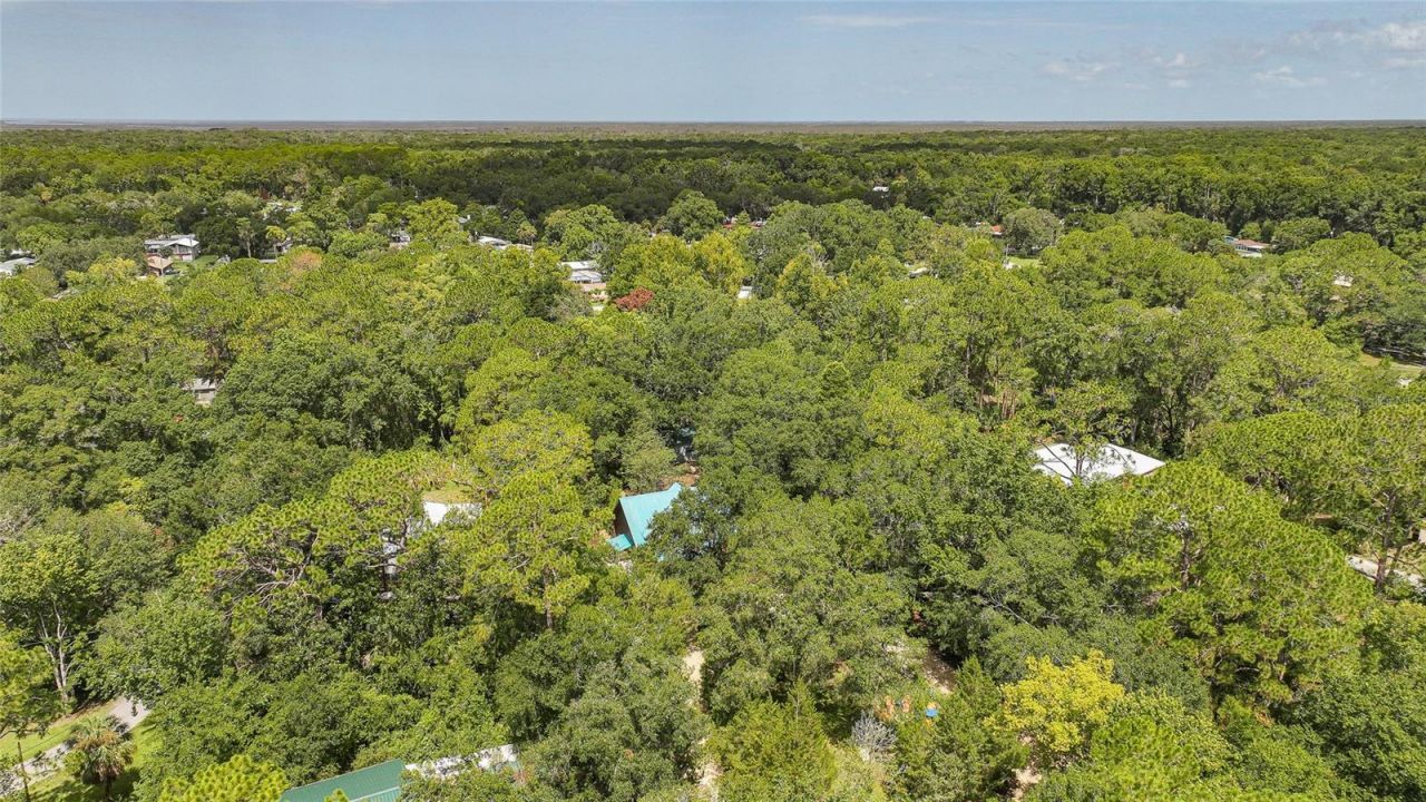 8199 W Pinoak Court , Homosassa, FL 34448 Photo