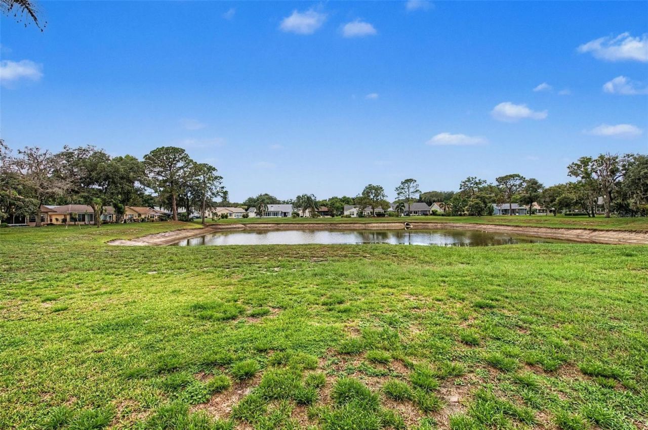 4709 Portland Manor Drive , New Port Richey, FL 34655 Photo