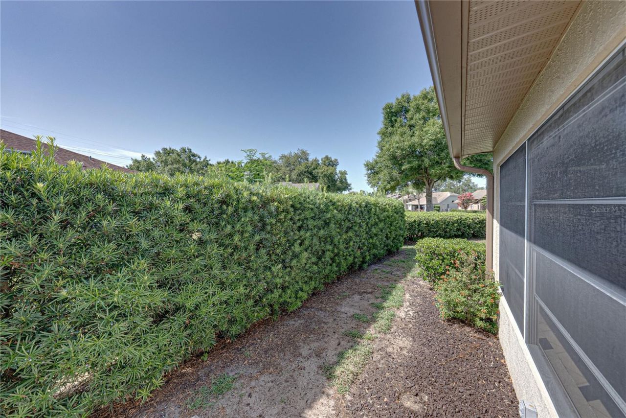 6232 Huntington Drive , Zephyrhills, FL 33542 Photo