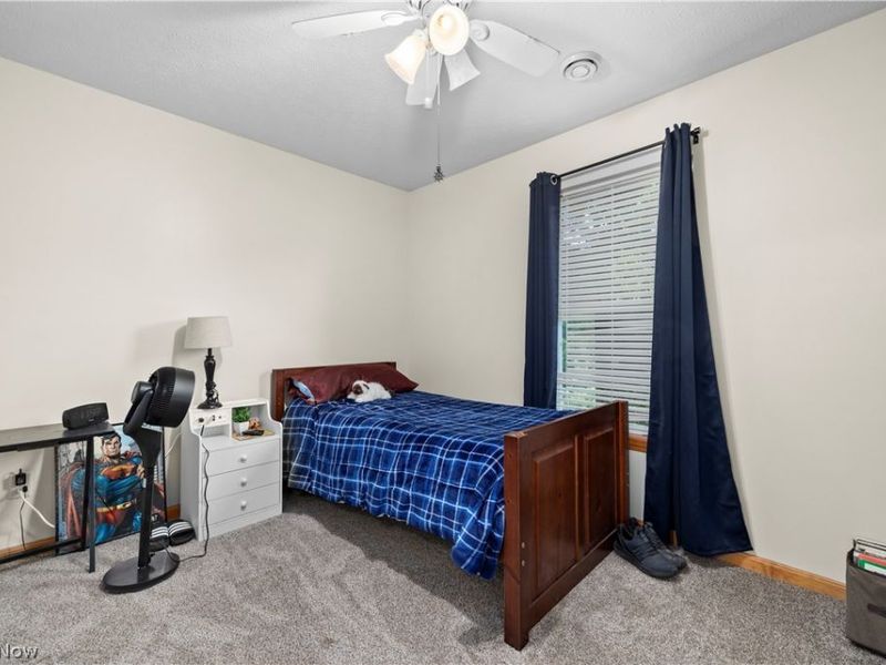 8020 Oak Tree Drive N, Lorain, OH 44053 Photo 23