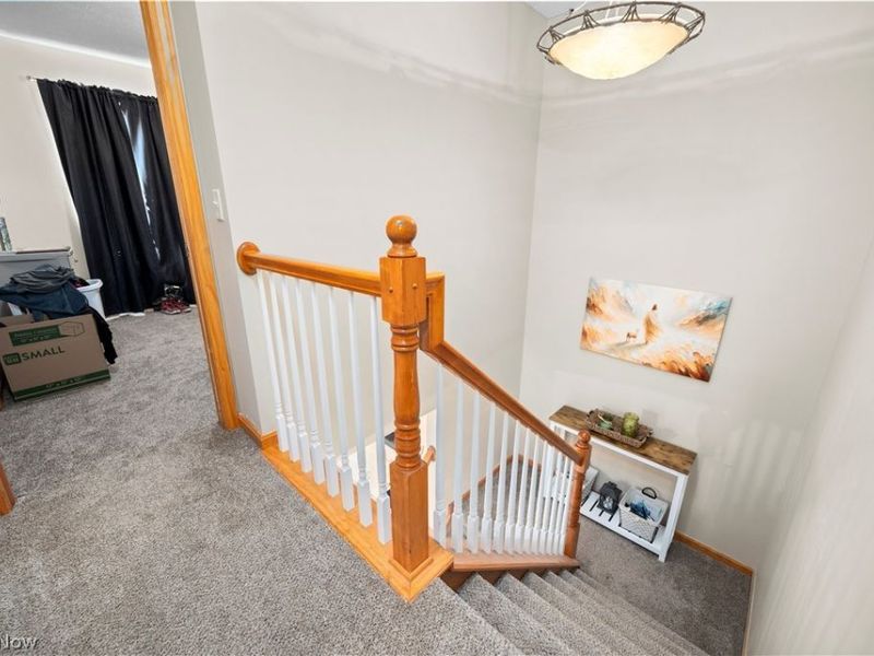 8020 Oak Tree Drive N, Lorain, OH 44053 Photo 26