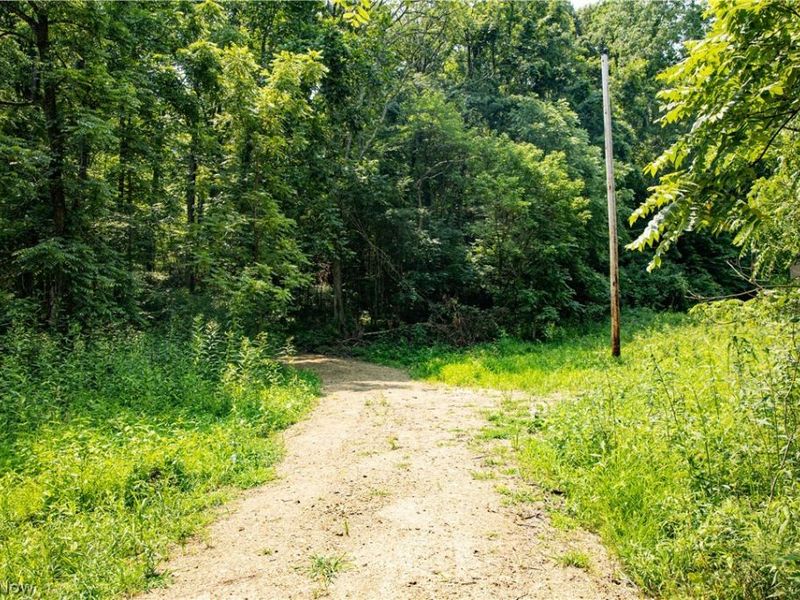 11001 Crawford Lane, New Concord, OH 43762 Photo 18