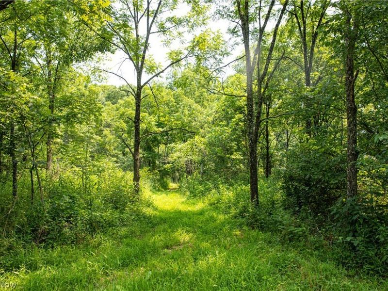 11001 Crawford Lane, New Concord, OH 43762 Photo 21