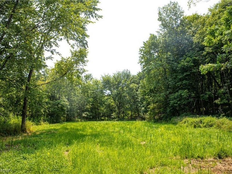 11001 Crawford Lane, New Concord, OH 43762 Photo 27