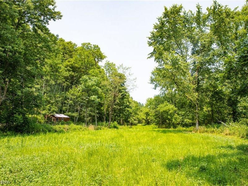 11001 Crawford Lane, New Concord, OH 43762 Photo 6