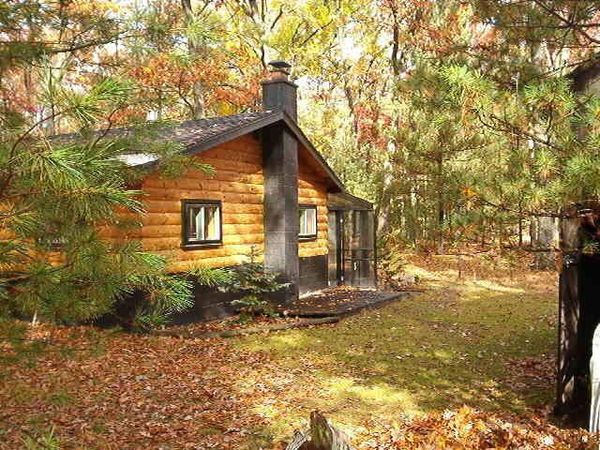 8047 W Peterson Road, Irons, MI 49644