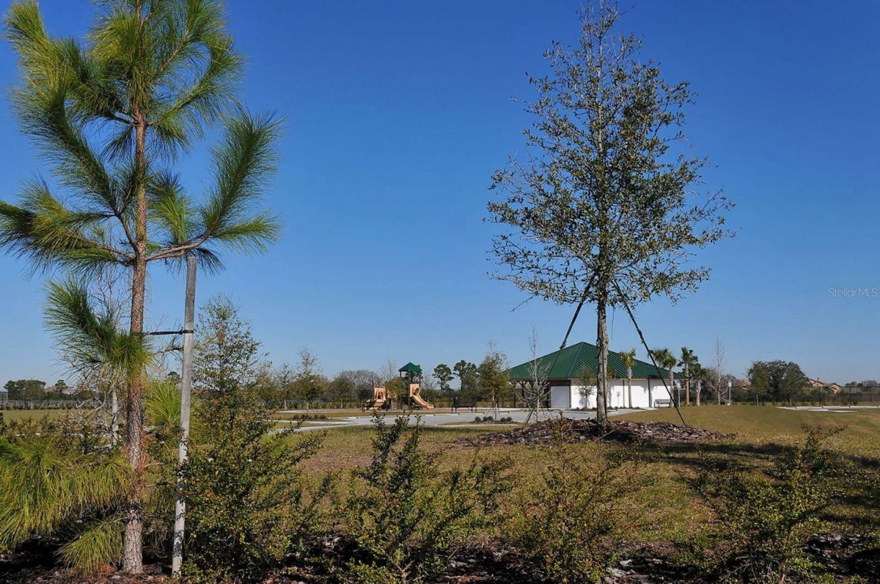 16525 Hillside Circle , Lakewood Ranch, FL 34202 Photo