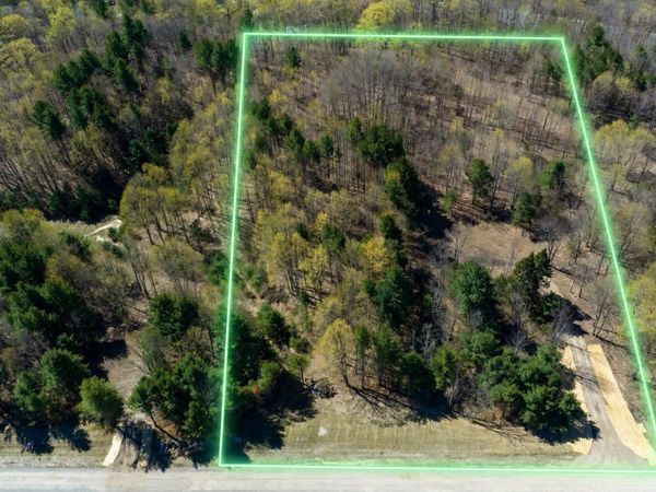 3 Bellinger Road E, Cedar, MI 49621