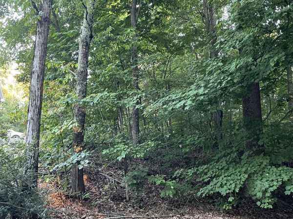 4024 Eagles Nest Drive, Morristown, TN 37813