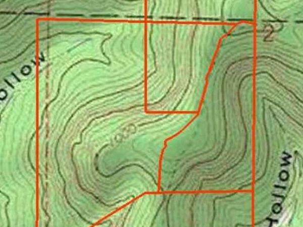 Yellville, AR 72687