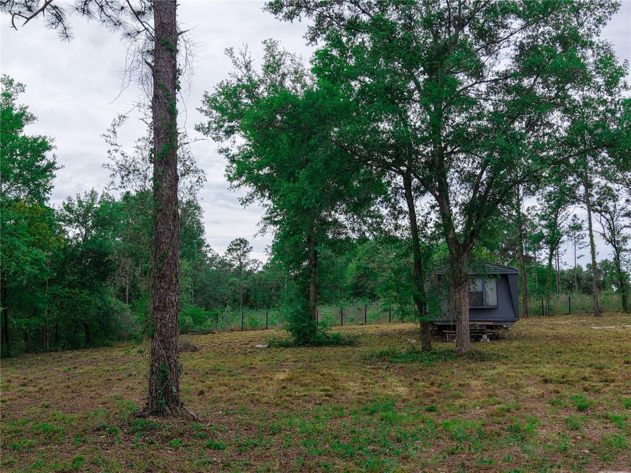 1390 NE 130th Avenue , Williston, FL 32696 Photo