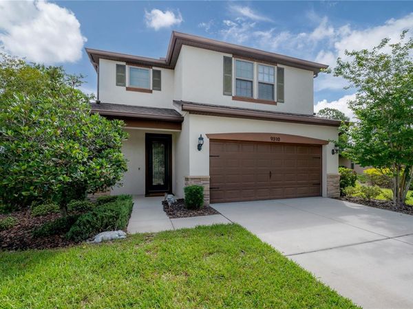 9310 BLUEBERRY ASH CIRCLE , RIVERVIEW, FL 33578