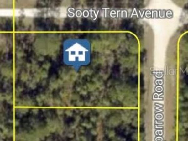 SOOTY TERN AVENUE , WEEKI WACHEE, FL 34614