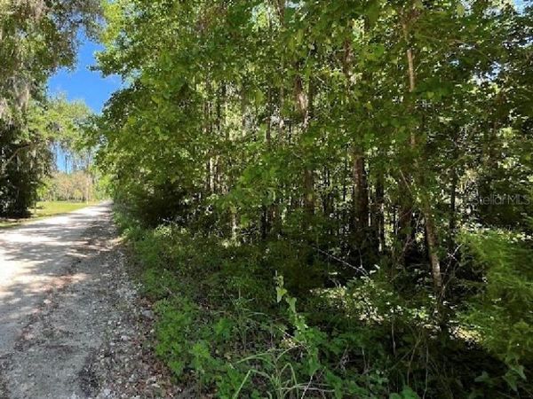 14220 NW 182ND LANE , WILLISTON, FL 32696