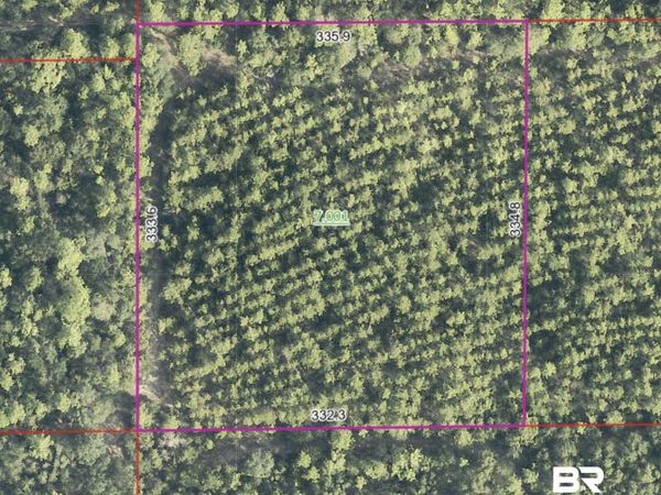 0 Footsteps Lane, Robertsdale, AL 36567
