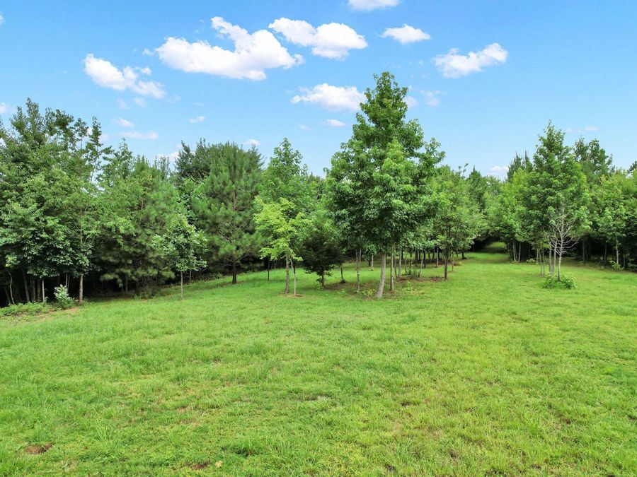 Property Image 111