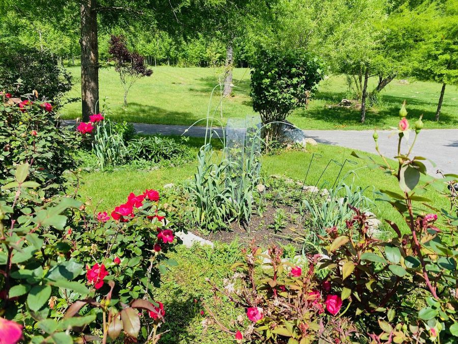 Property Image 34