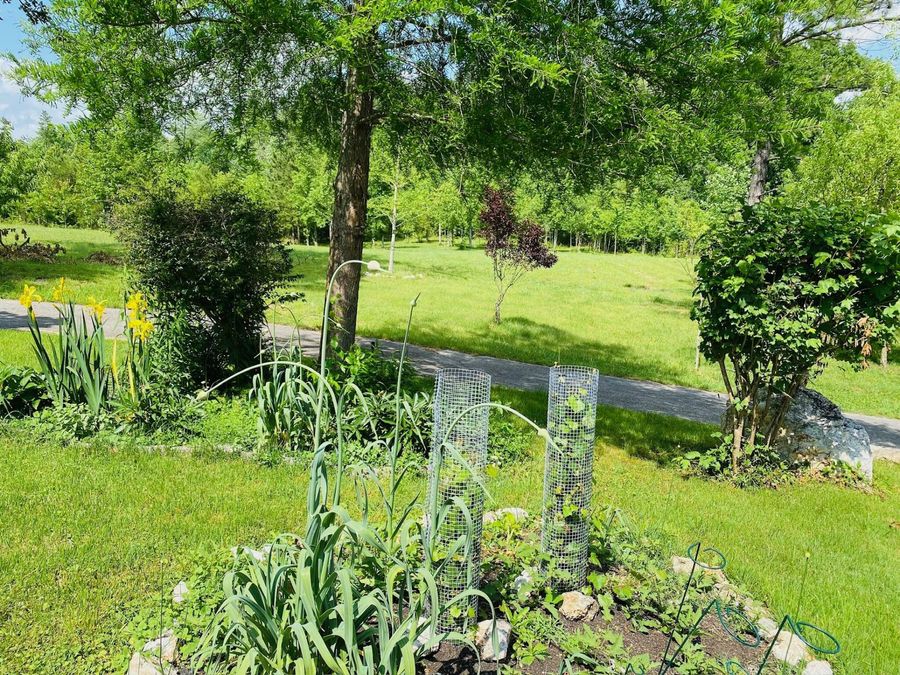 Property Image 35