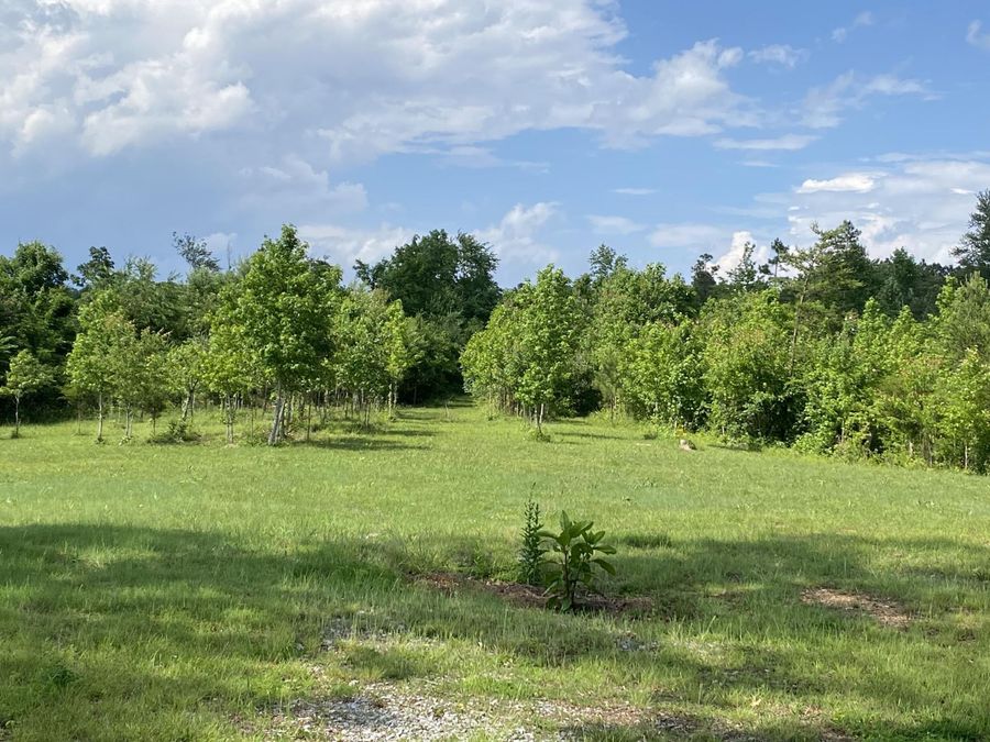 Property Image 68